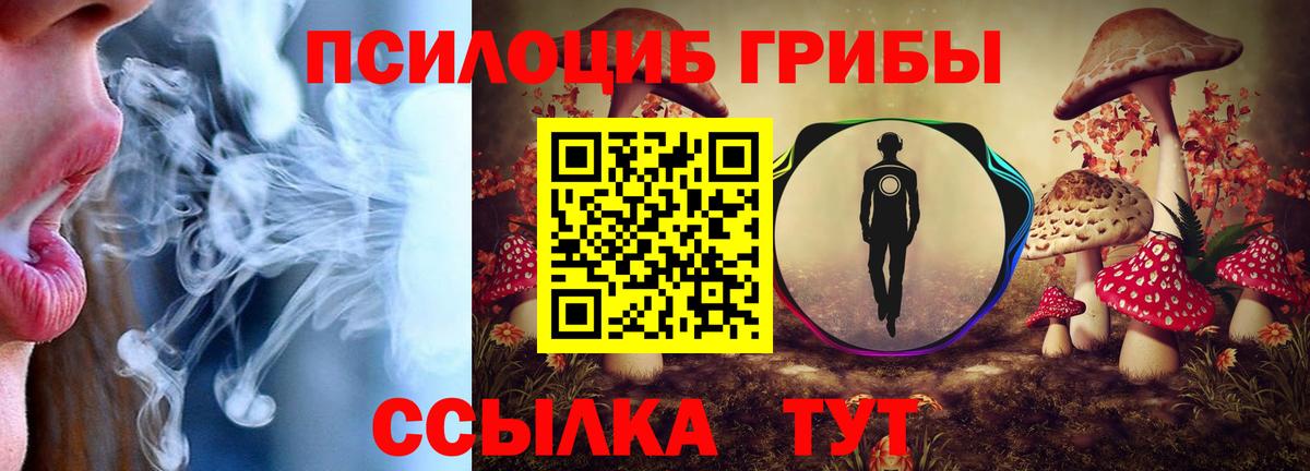 Псилоцибиновые грибы Cubensis  Вход с VPN  Орск 